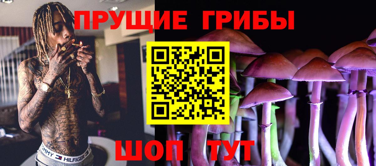 наркошоп  Псилоцибиновые грибы MAGIC MUSHROOMS  Одинцово  Вход с VPN  Галлюциногенные грибы мицелий 