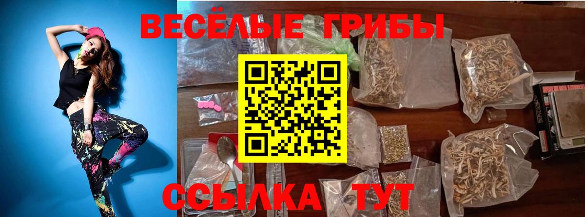 Псилоцибиновые грибы прущие грибы Одинцово